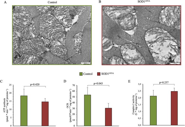 https://cdn.ncbi.nlm.nih.gov/pmc/blobs/da50/7340686/1e590b708bd2/13550_2020_666_Fig7_HTML.jpg