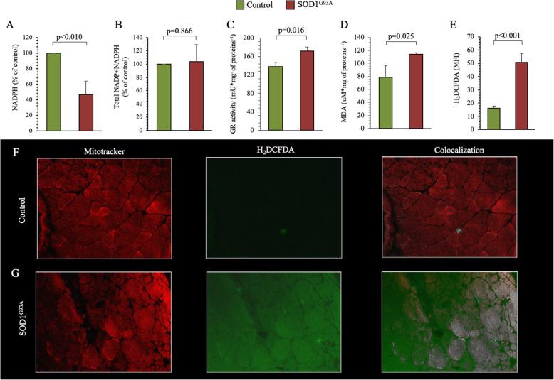 https://cdn.ncbi.nlm.nih.gov/pmc/blobs/da50/7340686/3ac0d54fd86c/13550_2020_666_Fig4_HTML.jpg