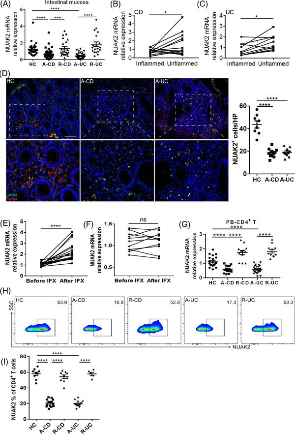 https://cdn.ncbi.nlm.nih.gov/pmc/blobs/da51/8958354/064f6912f1e7/CTM2-12-e771-g002.jpg
