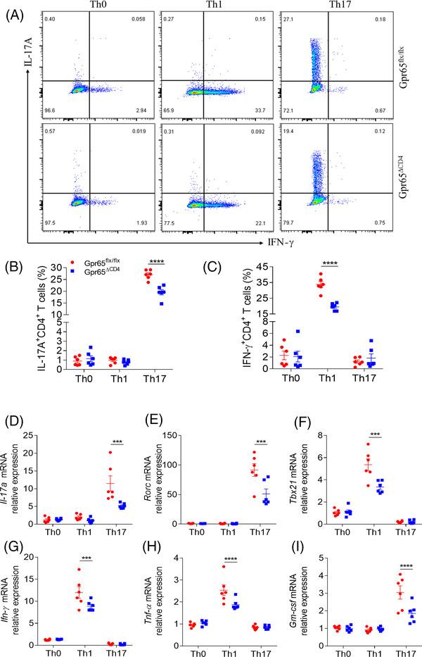 https://cdn.ncbi.nlm.nih.gov/pmc/blobs/da51/8958354/3b7a67881073/CTM2-12-e771-g008.jpg
