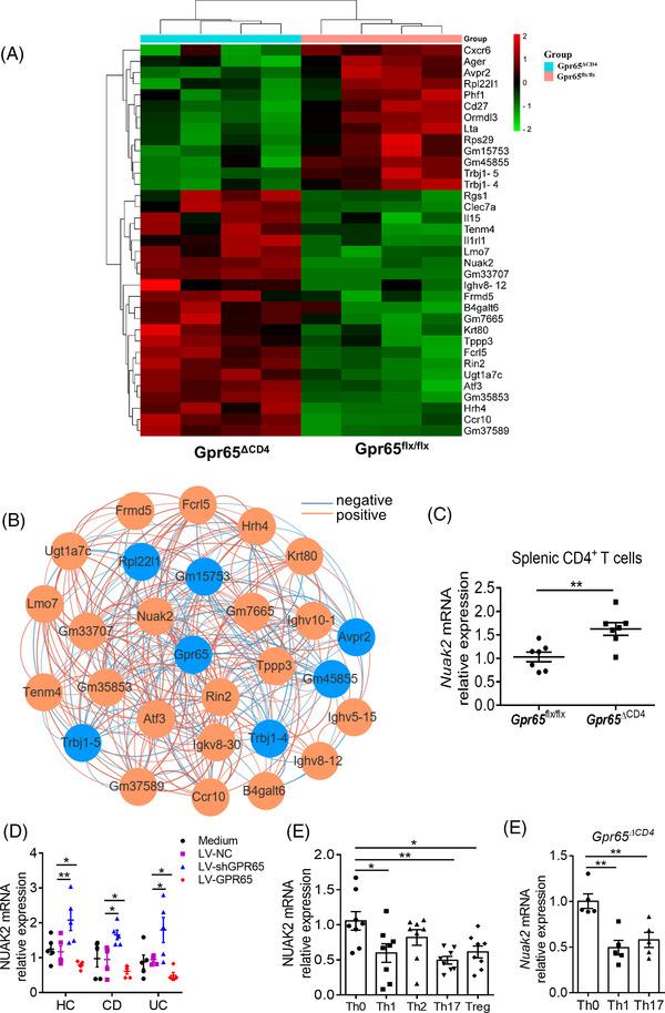 https://cdn.ncbi.nlm.nih.gov/pmc/blobs/da51/8958354/eb14da7ac9bb/CTM2-12-e771-g001.jpg
