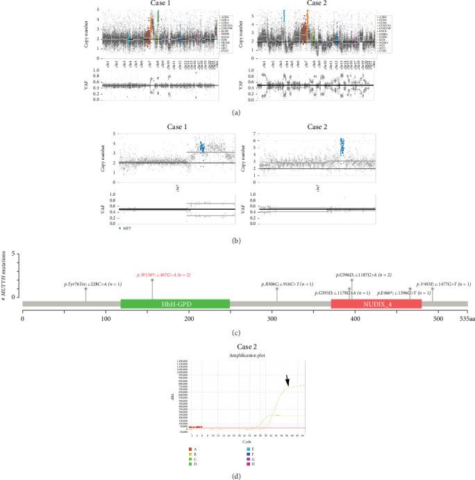 https://cdn.ncbi.nlm.nih.gov/pmc/blobs/da52/12136872/84ca0be8cf0a/HUMU2025-4321571.003.jpg