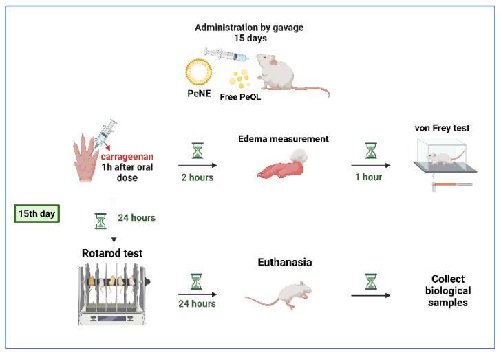 https://cdn.ncbi.nlm.nih.gov/pmc/blobs/da53/9740267/c32872e6b2c7/nanomaterials-12-04260-g001.jpg