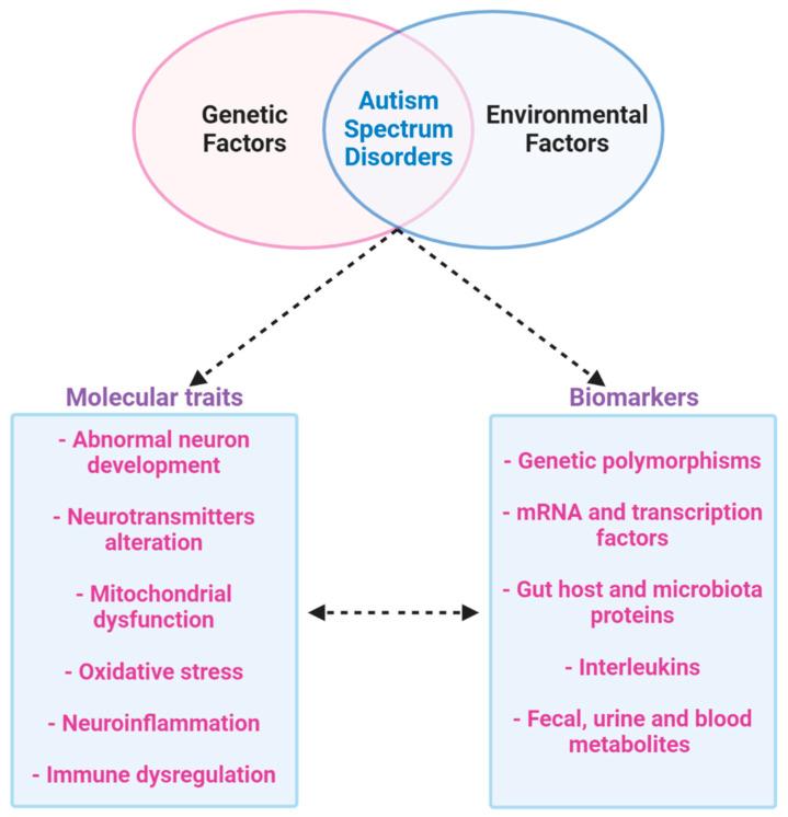 https://cdn.ncbi.nlm.nih.gov/pmc/blobs/da55/7504551/071da3e682f5/ijms-21-06274-g007.jpg