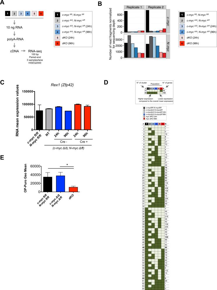 https://cdn.ncbi.nlm.nih.gov/pmc/blobs/da57/4752822/14bd2fddd9f6/figs2.jpg