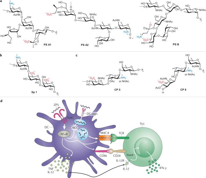 https://cdn.ncbi.nlm.nih.gov/pmc/blobs/da59/7829660/183dbfa757b9/41570_2020_244_Fig4_HTML.jpg