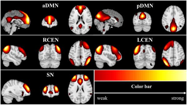 https://cdn.ncbi.nlm.nih.gov/pmc/blobs/da59/8413764/a23811d65a3f/BRB3-11-e2314-g003.jpg