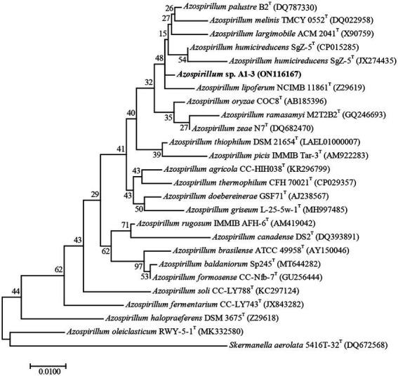 https://cdn.ncbi.nlm.nih.gov/pmc/blobs/da5a/9869045/2738d4d2ef80/fmicb-13-1057030-g001.jpg