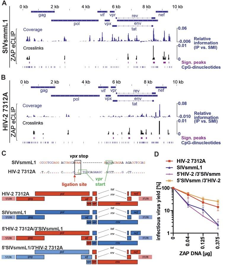 https://cdn.ncbi.nlm.nih.gov/pmc/blobs/da5b/12397911/3742cc57e0fb/gkaf826fig4.jpg