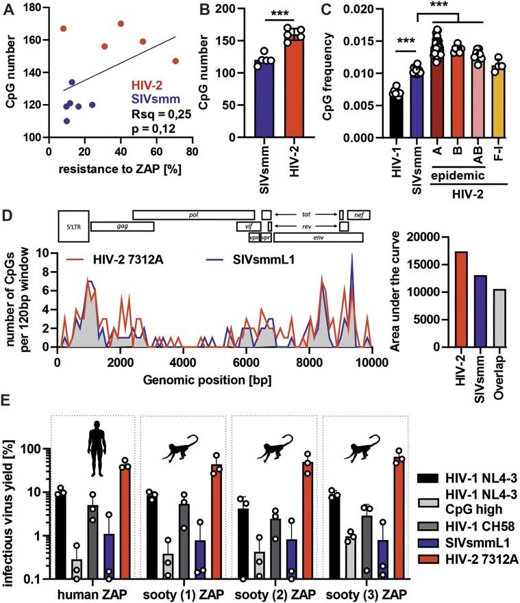 https://cdn.ncbi.nlm.nih.gov/pmc/blobs/da5b/12397911/455249481623/gkaf826fig3.jpg