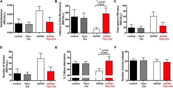 https://cdn.ncbi.nlm.nih.gov/pmc/blobs/da5d/6019486/412cc2468c1b/fnmol-11-00206-g005.jpg
