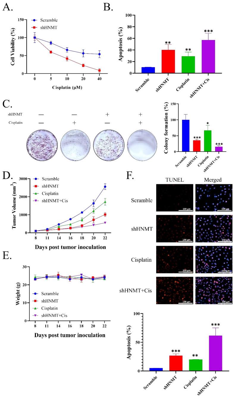 https://cdn.ncbi.nlm.nih.gov/pmc/blobs/da5d/8835856/1eb46d356c9c/ijms-23-01663-g006.jpg