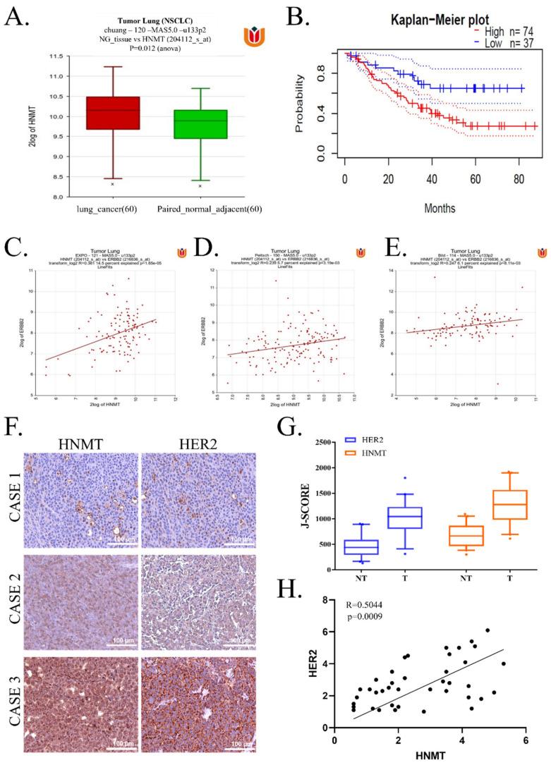 https://cdn.ncbi.nlm.nih.gov/pmc/blobs/da5d/8835856/a70166fee794/ijms-23-01663-g001.jpg