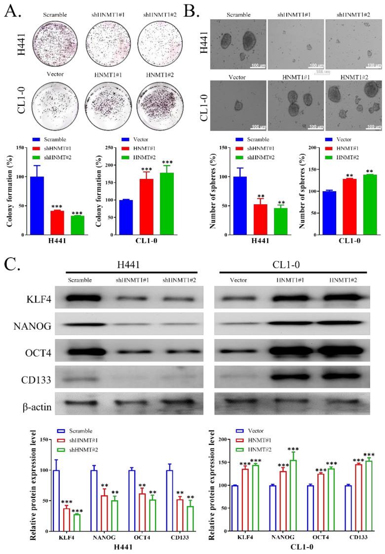 https://cdn.ncbi.nlm.nih.gov/pmc/blobs/da5d/8835856/c7ee5827be9c/ijms-23-01663-g003.jpg