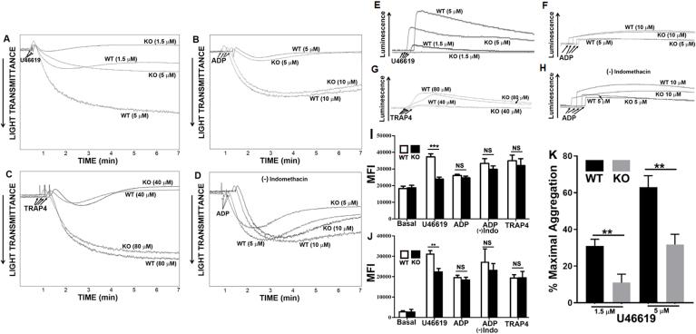 https://cdn.ncbi.nlm.nih.gov/pmc/blobs/da60/6726914/aa87ca7a775d/gr2.jpg