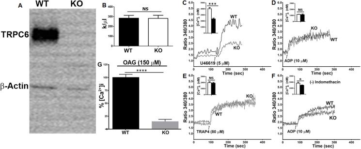 https://cdn.ncbi.nlm.nih.gov/pmc/blobs/da60/6726914/d4491bbec799/gr1.jpg