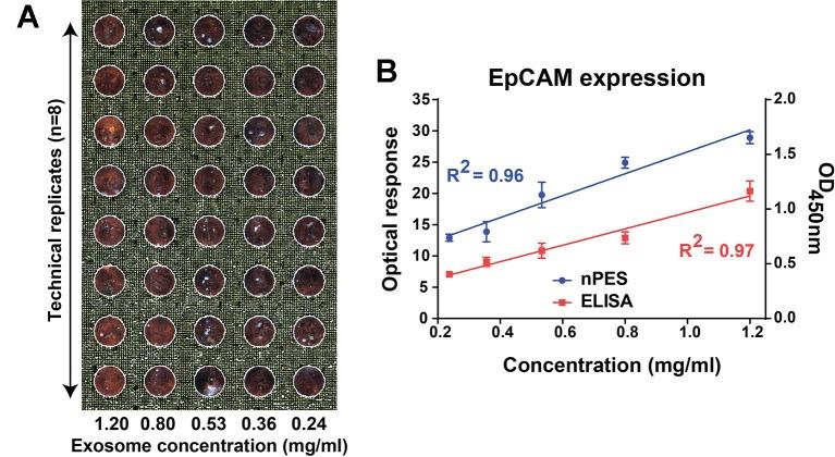 https://cdn.ncbi.nlm.nih.gov/pmc/blobs/da60/6928048/b310390c91d7/fgene-10-01273-g002.jpg