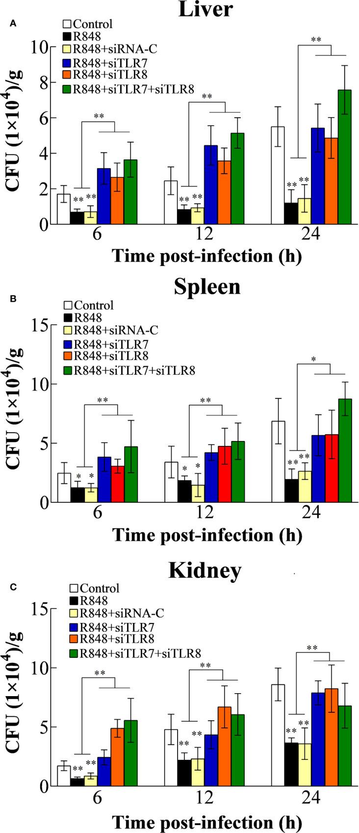 https://cdn.ncbi.nlm.nih.gov/pmc/blobs/da60/7848160/438ef259597b/fimmu-11-617522-g007.jpg
