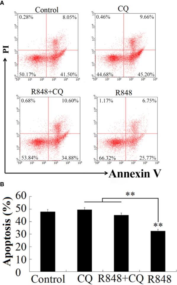 https://cdn.ncbi.nlm.nih.gov/pmc/blobs/da60/7848160/5e237c2380ec/fimmu-11-617522-g003.jpg