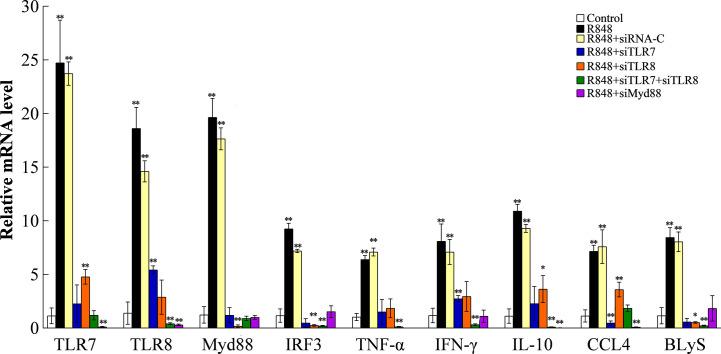 https://cdn.ncbi.nlm.nih.gov/pmc/blobs/da60/7848160/8418ffa6a29f/fimmu-11-617522-g009.jpg