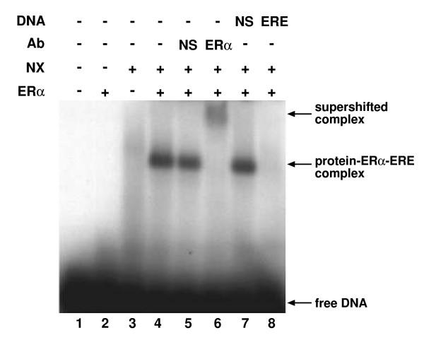https://cdn.ncbi.nlm.nih.gov/pmc/blobs/da61/2585101/e610f99c7868/1471-2199-9-97-1.jpg