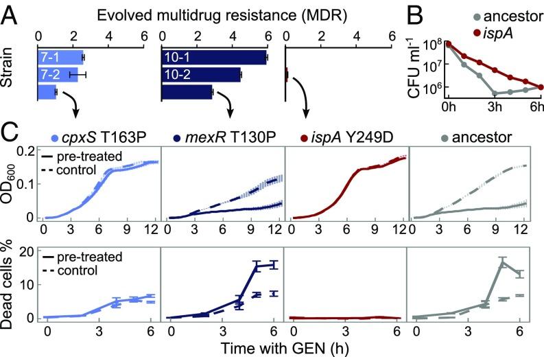 https://cdn.ncbi.nlm.nih.gov/pmc/blobs/da61/6166819/76de7ebc3dd4/pnas.1810004115fig05.jpg