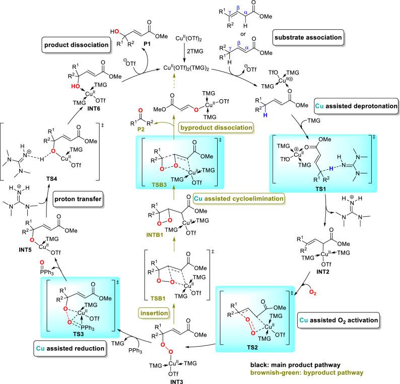 https://cdn.ncbi.nlm.nih.gov/pmc/blobs/da61/7809353/cf8493a4f62a/41598_2020_80188_Fig6_HTML.jpg
