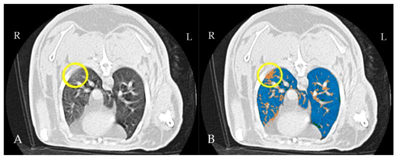 https://cdn.ncbi.nlm.nih.gov/pmc/blobs/da62/12031136/ed7993a0ec73/vetsci-12-00340-g002.jpg