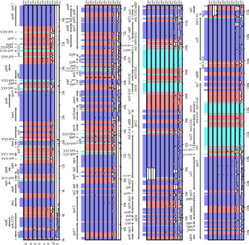 https://cdn.ncbi.nlm.nih.gov/pmc/blobs/da63/11656598/06eec2e0c8d9/12870_2024_5905_Fig5_HTML.jpg