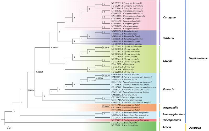 https://cdn.ncbi.nlm.nih.gov/pmc/blobs/da63/11656598/a175a3373549/12870_2024_5905_Fig10_HTML.jpg