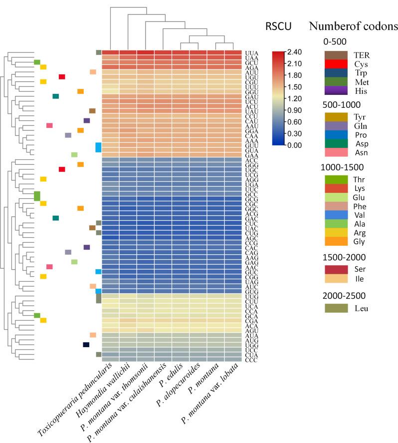 https://cdn.ncbi.nlm.nih.gov/pmc/blobs/da63/11656598/f935f76e62d2/12870_2024_5905_Fig3_HTML.jpg