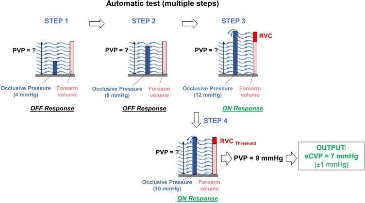 https://cdn.ncbi.nlm.nih.gov/pmc/blobs/da66/8128499/651b4f6a069b/MDER-14-141-g0005.jpg