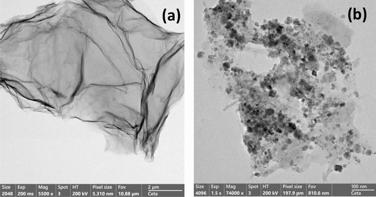 https://cdn.ncbi.nlm.nih.gov/pmc/blobs/da68/9556635/81869f63aca0/41598_2022_21360_Fig4_HTML.jpg