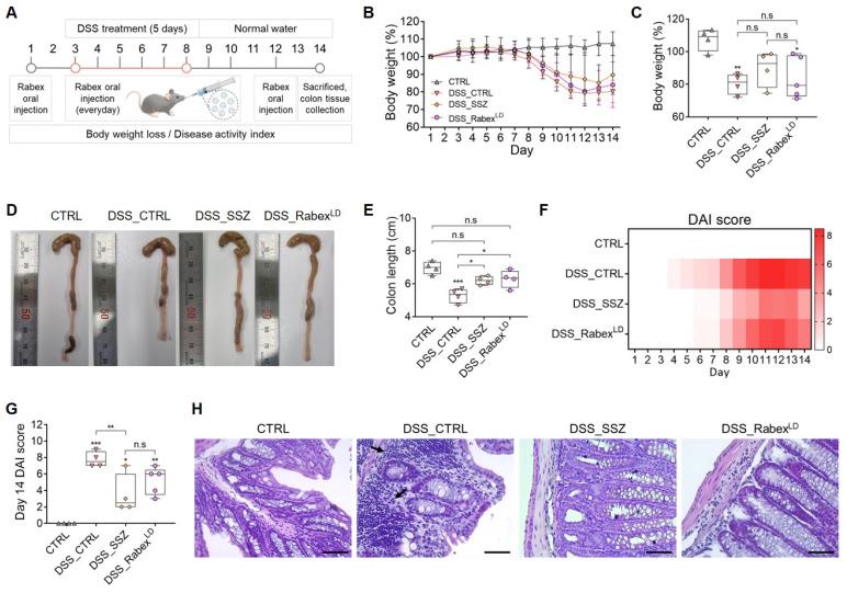 https://cdn.ncbi.nlm.nih.gov/pmc/blobs/da6a/11413791/fade1eb8e506/thnov14p5643g003.jpg