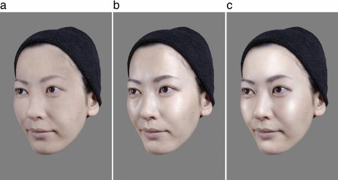 https://cdn.ncbi.nlm.nih.gov/pmc/blobs/da6b/7900112/0cca548cd254/41598_2021_82601_Fig1_HTML.jpg
