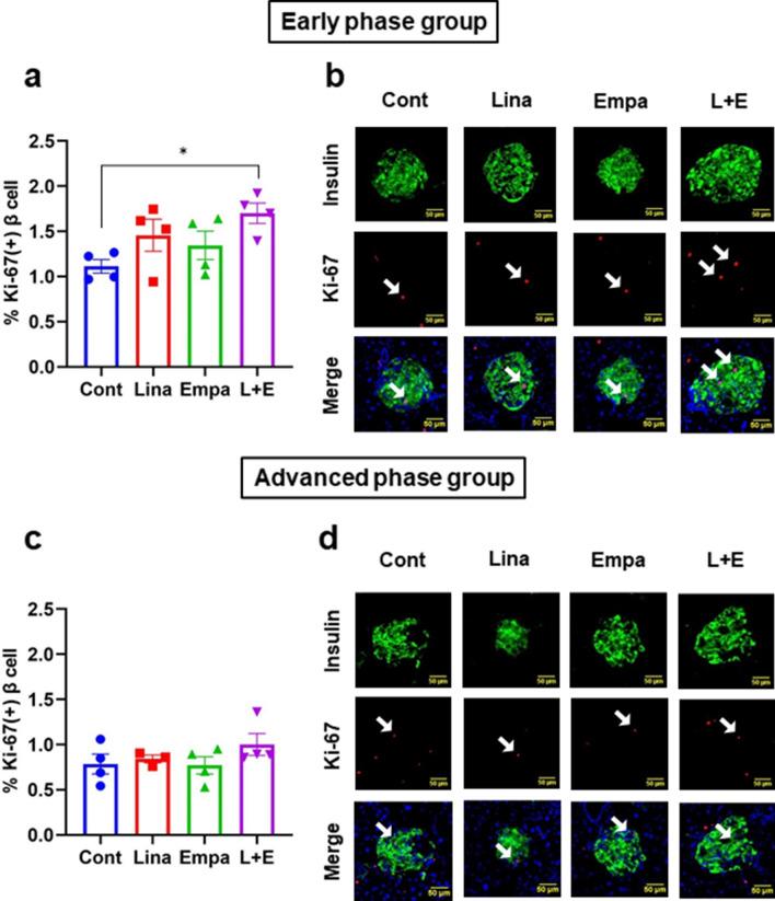 https://cdn.ncbi.nlm.nih.gov/pmc/blobs/da6c/8352868/31e7b9833980/41598_2021_94896_Fig4_HTML.jpg