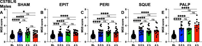 https://cdn.ncbi.nlm.nih.gov/pmc/blobs/da6e/12039984/caf68f1de7cd/painreports-10-e1275-g003.jpg