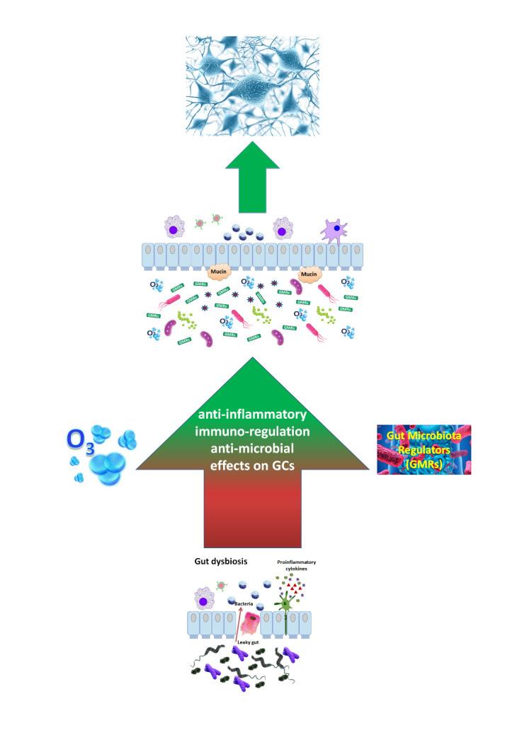 https://cdn.ncbi.nlm.nih.gov/pmc/blobs/da70/8279527/d504af11637b/ad-12-5-1337-g2.jpg