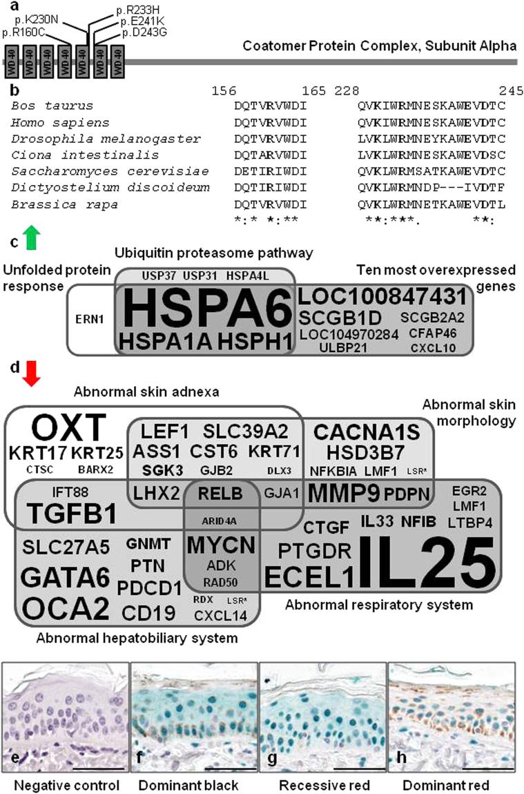 https://cdn.ncbi.nlm.nih.gov/pmc/blobs/da71/5597596/3a20c0bad829/41598_2017_11523_Fig5_HTML.jpg