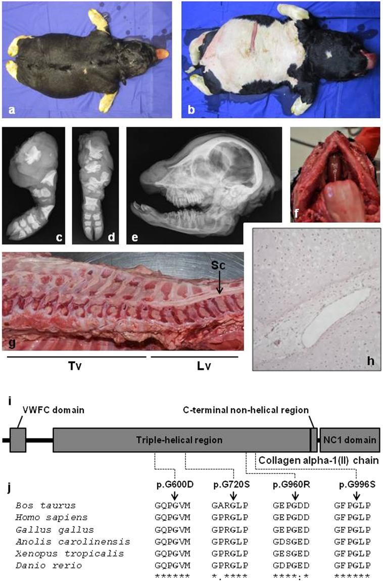 https://cdn.ncbi.nlm.nih.gov/pmc/blobs/da71/5597596/7055a0794e91/41598_2017_11523_Fig2_HTML.jpg