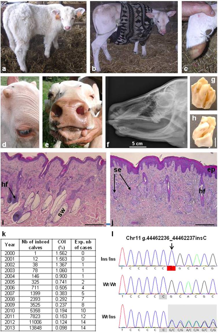 https://cdn.ncbi.nlm.nih.gov/pmc/blobs/da71/5597596/8012c129e9d6/41598_2017_11523_Fig6_HTML.jpg