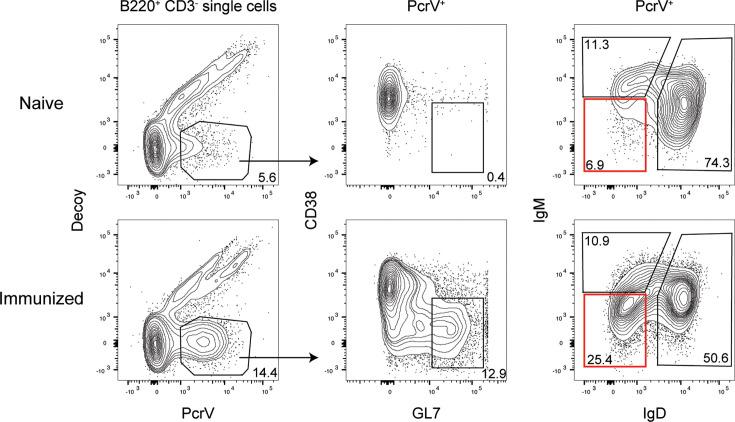 https://cdn.ncbi.nlm.nih.gov/pmc/blobs/da73/12021410/65a31e6ea098/elife-98851-fig1-figsupp1.jpg