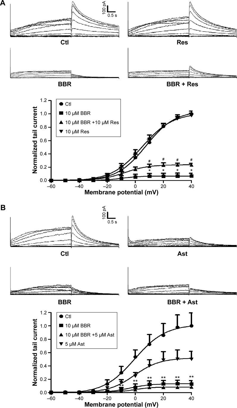 https://cdn.ncbi.nlm.nih.gov/pmc/blobs/da73/4622489/cdee23097efb/dddt-9-5737Fig4.jpg
