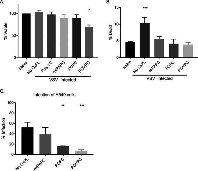 https://cdn.ncbi.nlm.nih.gov/pmc/blobs/da73/8092255/740a1d526c42/mBio.00584-21_f003.jpg