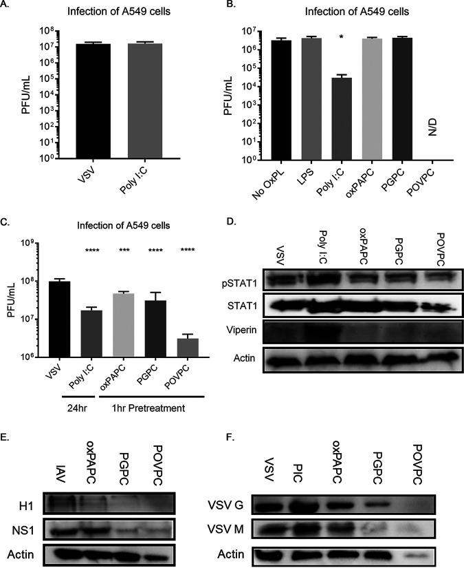 https://cdn.ncbi.nlm.nih.gov/pmc/blobs/da73/8092255/f0cef3d58100/mBio.00584-21_f005.jpg