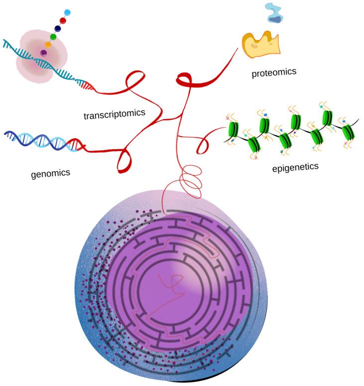 https://cdn.ncbi.nlm.nih.gov/pmc/blobs/da76/9024495/4006049d3226/diagnostics-12-00996-g001.jpg