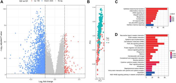 https://cdn.ncbi.nlm.nih.gov/pmc/blobs/da78/8600263/2581fc207ee4/fgene-12-689676-g005.jpg