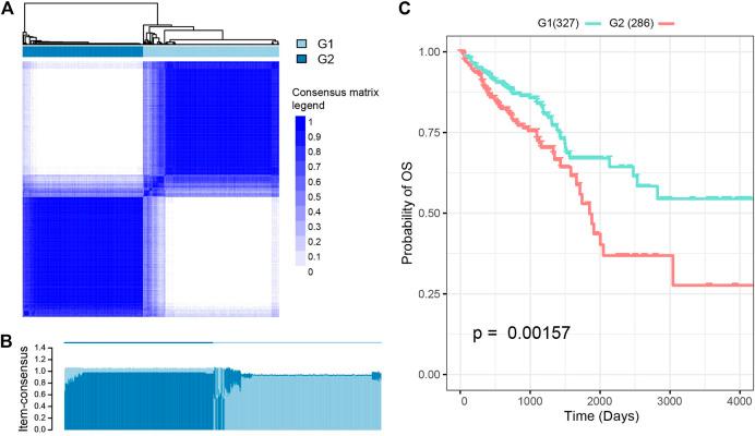 https://cdn.ncbi.nlm.nih.gov/pmc/blobs/da78/8600263/6787de2f51ac/fgene-12-689676-g002.jpg