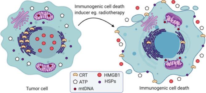 https://cdn.ncbi.nlm.nih.gov/pmc/blobs/da79/12007348/1f392dc44d3c/13045_2025_1692_Fig4_HTML.jpg