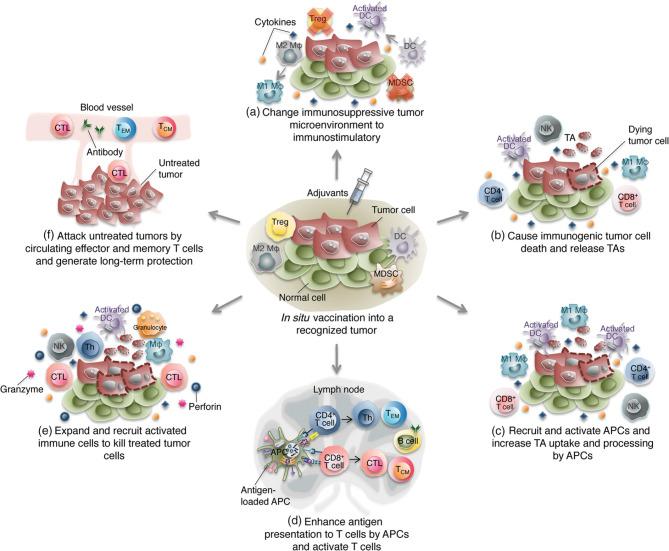 https://cdn.ncbi.nlm.nih.gov/pmc/blobs/da79/12007348/22f1a1ca1be3/13045_2025_1692_Fig3_HTML.jpg